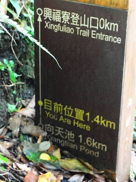 興福寮登山口|興福寮上向天池步道(出清天宫)